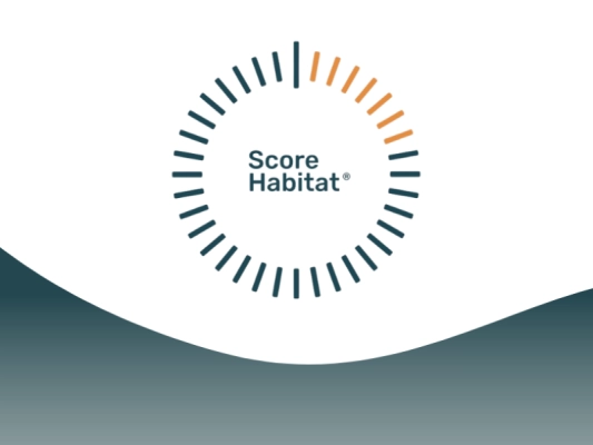 Bournigal Menuiseries, première entreprise labellisée Score Habitat à Nantes - pergola à Carquefou Bournigal Menuiseries, première entreprise labellisée Score Habitat à Nantes